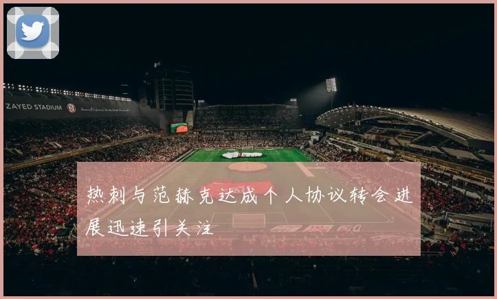 热刺与范赫克达成个人协议转会进展迅速引关注