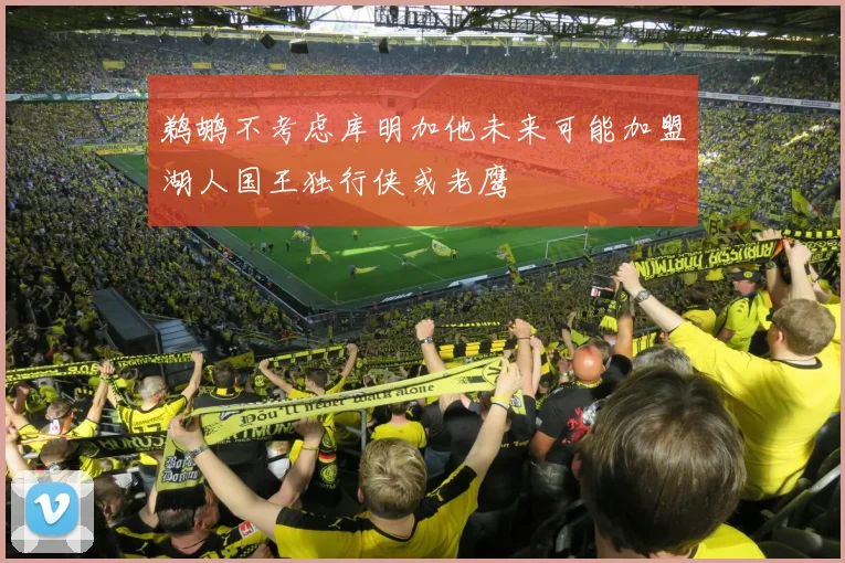 鹈鹕不考虑库明加他未来可能加盟湖人国王独行侠或老鹰